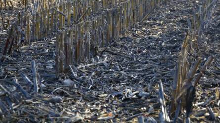 Szép a forgatás nélküli művelés, de van egy nagy problémája, amire most megoldást találtak