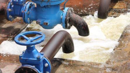 Nincs annál rosszabb ötlet, mint sós vízzel öntözni – kipróbálták, ez történt a növényekkel