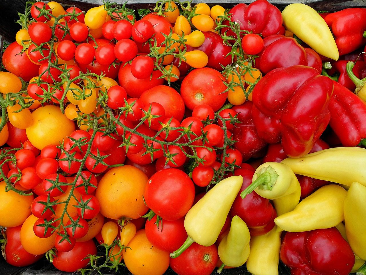 Paradicsom és paprika