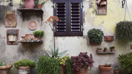 Vertikális kertek: maximalizáljuk a növényborítottságot!