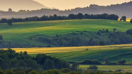Sokféleség mentheti meg a mezőgazdaságot