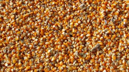 A vártnál magasabb kínálati kilátások mozgatták a piacot