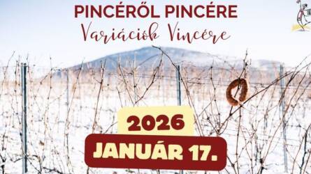 Pincéről pincére, variációk Vincére - Vince-nap Villányban