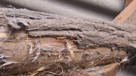 Figyeljünk a raktározott terményeinkre, mielőtt késő!