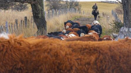 53 ezer hektáron gazdálkodik egyedül egy nő, így csinálja