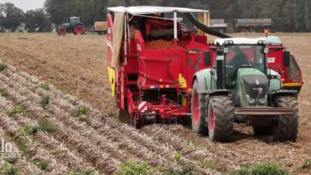 Az ördögé lett az egész éves munka, elrothad a földeken a termés, nem éri meg betakarítani