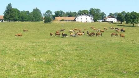 Indul az egyéni gazdaságok mezőgazdasági összeírása