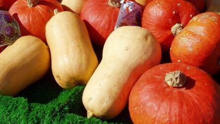 Ezeket a sütőtök recepteket kár lenne kihagyni!