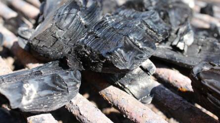 A faszén hamuját szétszórhatjuk a kertben? A válasz meglepő és megdöbbentő