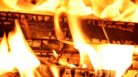 Tűzifa-feldolgozás profi módon: így szárad gyorsabban