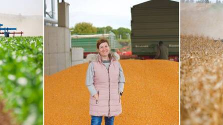 A KWS mátrix bevált a gyakorlatban!