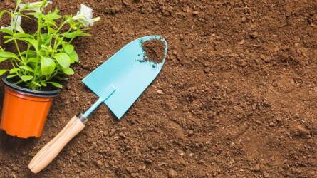 Kell-e a kertbe geotextil valójában?