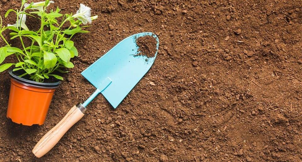 Az élő talaj nem csupán egy fizikai közeg, hanem egy összetett ökoszisztéma