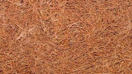 Talajismeret: amit a kókuszrostról tudni érdemes