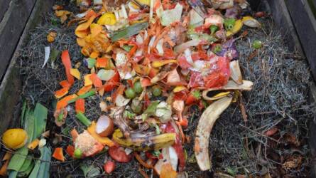 Komposztálhatunk télen is, ha betartjuk ezeket az alapvető szabályokat