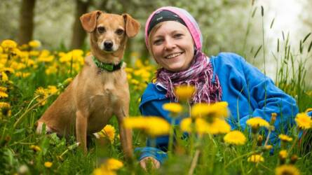 Ez a kutyák kedvenc szava, sokat elárul házi kedvenceinkről