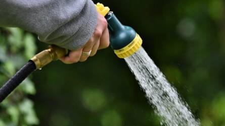 Idei tapasztalatok az aszályos kertből – Mit tanulhatunk a szélsőséges időjárásból?