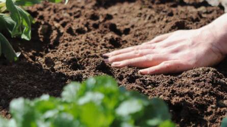 Talajfáradás ellen: ismerje fel és hozza rendbe!