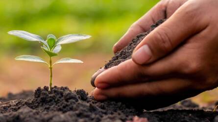 Több okból is fontos a nitrogénveszteség csökkentése