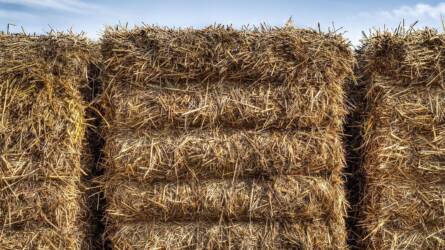 Kockázatos vállalkozásba fogott egy család a szalmabálákkal, de kifizetődött a hatalmas ötlet