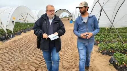 Váratlan húzás a spanyoloktól, a fél világ lélegzetvisszafojtva várja az eredményeket