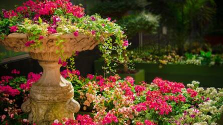 Tematikus kert: kell-e valamilyen tematikát választani a magánkertben?