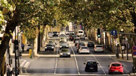 Csúnyán visszaüthet, amit a fák ültetésénél évek óta csinálunk