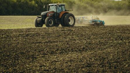 Már rég nem a gazdák a termőföldek legnagyobb tulajdonosai, leleplező riport született