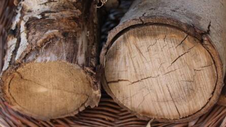 Ennyi ideig kell száradnia a tűzifának, mindenki rosszul tudja