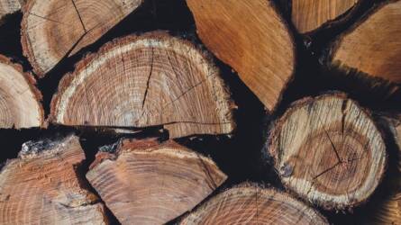 Használható trükkök a megfelelő tűzifa kiválasztásához