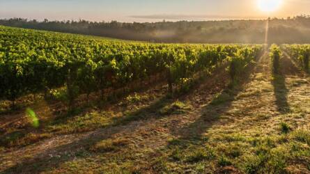 Földet venne? Itt a 10 hektár alatti állami területek programja