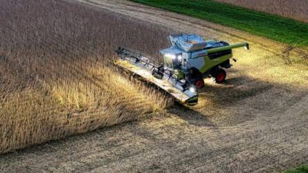 A szójabab kurzusa továbbra is csökkenő tendenciát mutat