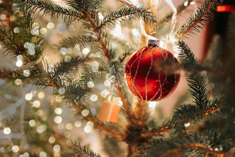 A karácsonyfa hagyományosan örökzöld fafaj feldíszítésével születik