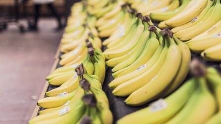 Az élelmiszer-védjegyek jelentősége