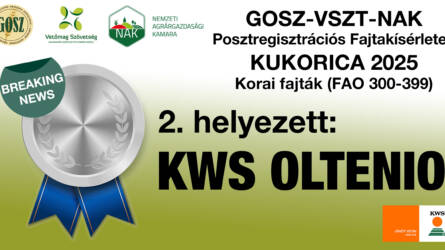 BREAKING NEWS! Megbízhatóan a csúcson - KWS OLTENIO - arany után egy ezüst is a főpályán!