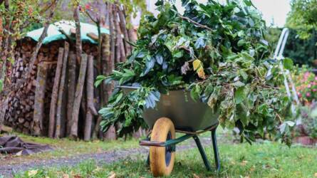 Hogyan válasszunk ágdarálót? – Útmutató tudatos kerttulajdonosoknak