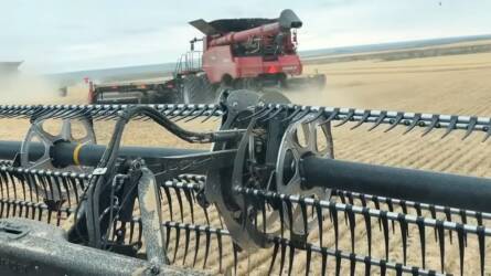 1000 munkaórát tett idén egy fiatal lány a kombájnjába, őrült dologra vállalkozott