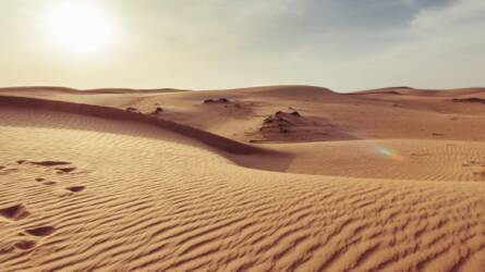 Vizet kerestek a sivatagban – amit 48 óra alatt találtak, mindenkit meglepett