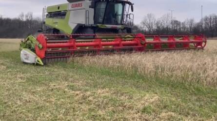 Decemberben aratják az árpát, ez a legnagyobb fricska a természettől