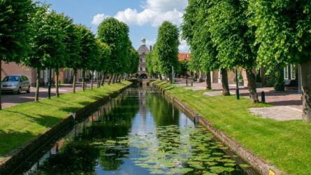 A városokban nincs olyan talaj, amiben egy növény jól érezheti magát