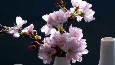 Ismeri a Barbara-ágat? Fogadjunk, hogy imádni fogja!