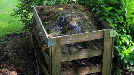 A komposztról derült ki szenzációs újdonság – eggyel több ok, hogy bajlódjunk vele