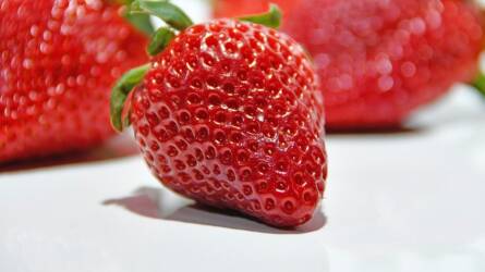 Merész vállalkozásba fogtak a spanyolok, de bejött, és tarolnak a piacon