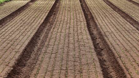 Titokban nő az öko szektor – most kiderült, mennyire