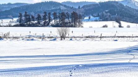 Szilveszteri babonák a mezőgazdaságban – mit nem csináltak nagyapáink?