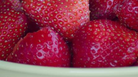 Brutális hozam, kemény bogyók, kevesebb növényvédelem – a Kara® szamóca komolyan felkavarta a piacot