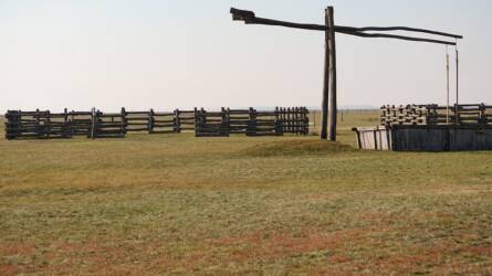 Rejtélyes állatok bukkantak fel a Hortobágyon, egy ismeretlen világból érkeztek