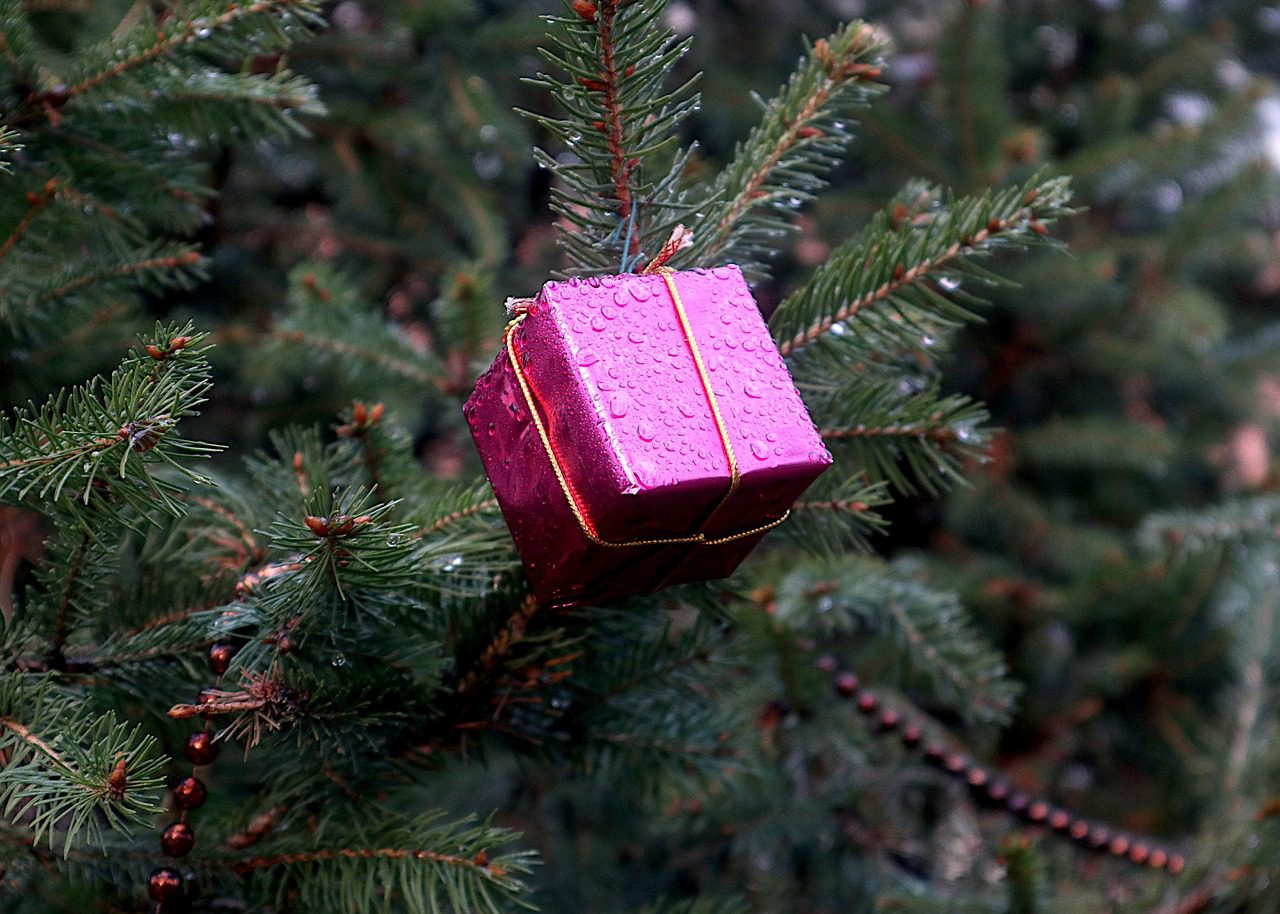 A hidegről érkező fa érzékenyen reagál a hirtelen hőmérséklet-változásra