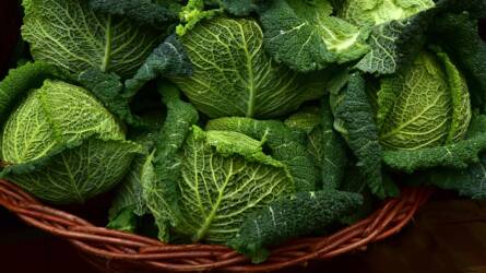 Téli veteményeskert: mit szüretelünk télen?