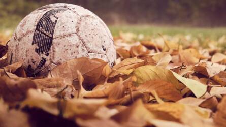 Sport és kert - Hogyan alakítsunk ki kertet sportos családhoz?